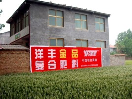 修文如何让墙体广告展现最大化效果