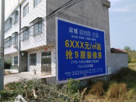 修文墙体广告质量分析