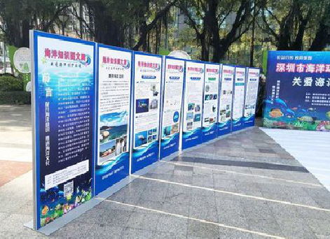 修文KT板的种类和知识。